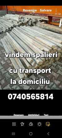Golescu vinde spalieri stâlpi de beton