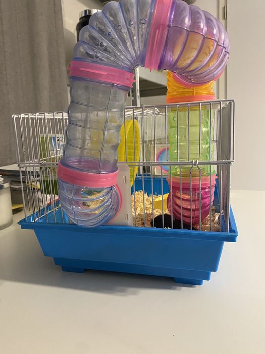 Vand cusca speciala pentru hamsteri
