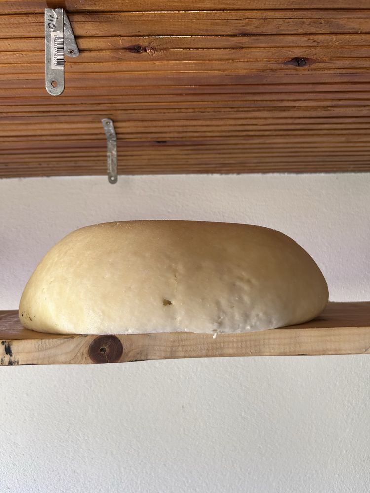 Cas de oaie de vanzare