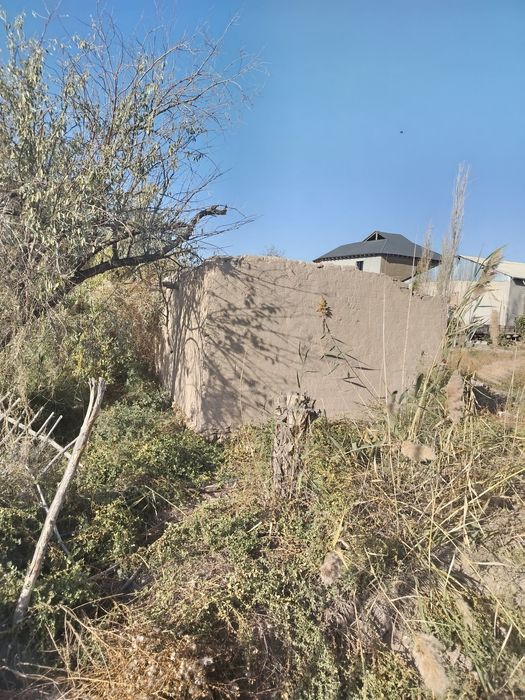 Уш болели мал кора сатылады