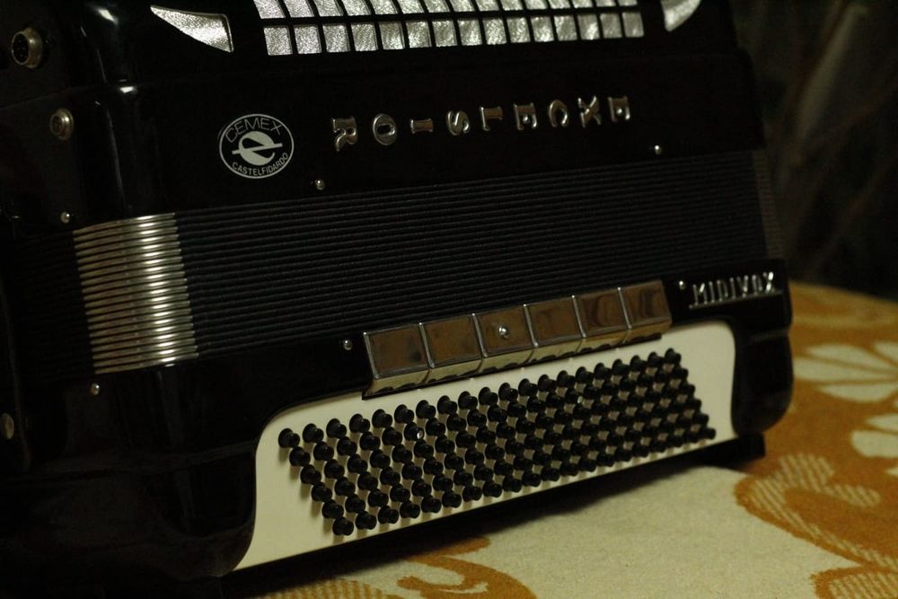 Vand Acordeon Excelsior 2/2 profesional