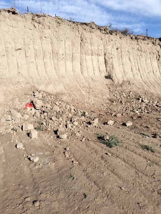 Самовызов по 1000 тенге