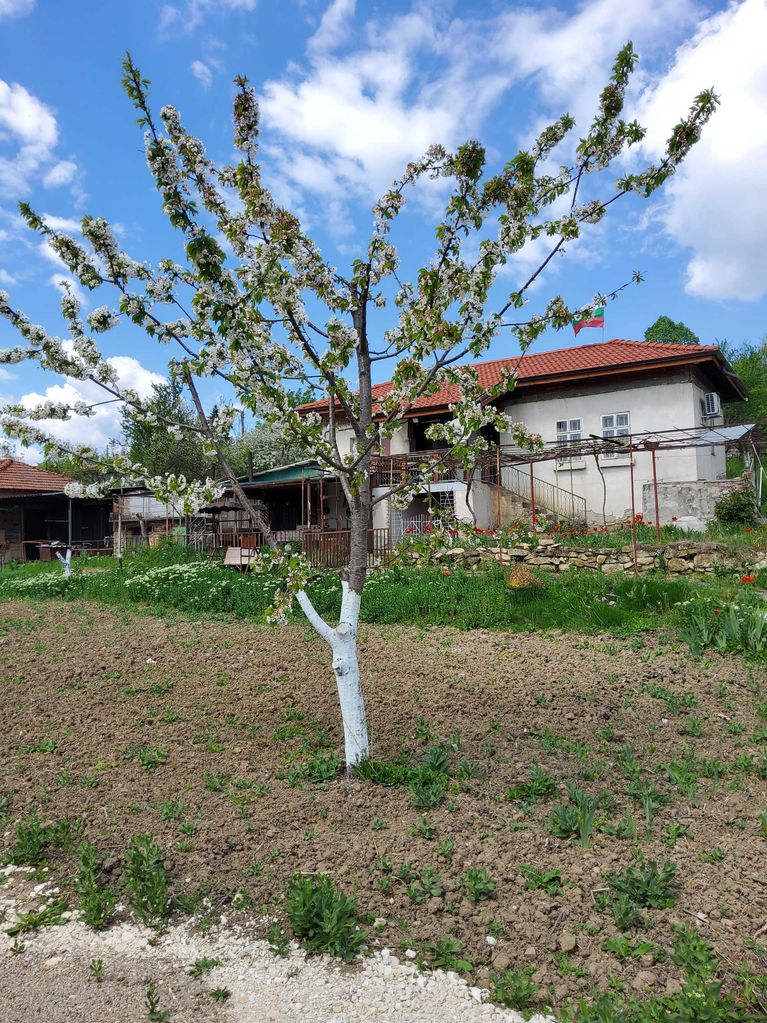 Продава се Къща в с. Владиня, Област Ловеч - 80 кв.м за 415 €/кв.м - Снимка #5
