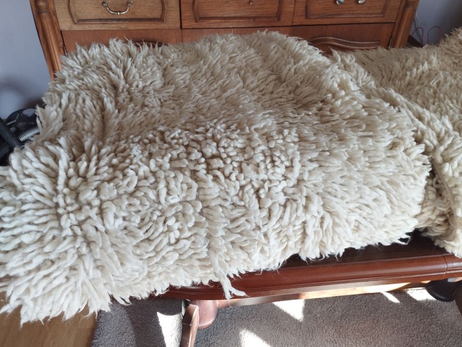 Продавам китеници  2 броя по 60 лева бройката.