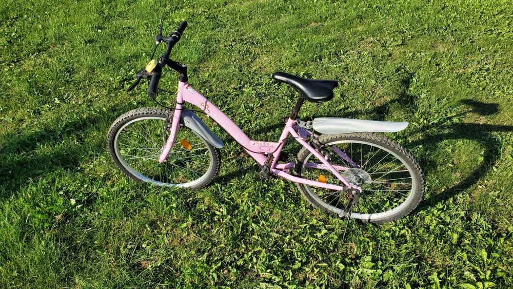 Cadru sport profesional