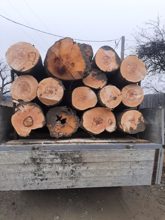 Lemne fag foc,și paleti deșeuri brad,și lemn rotund.