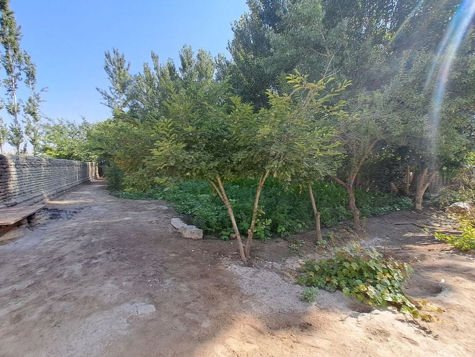 Hovli uy sirochna sotiladi