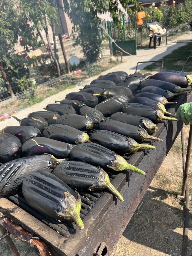 Zacusca delicioasa