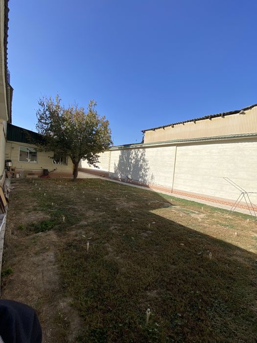 Озимни уйим, Без маклер