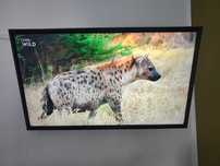 Samsung T28E310EW Monitor / TV