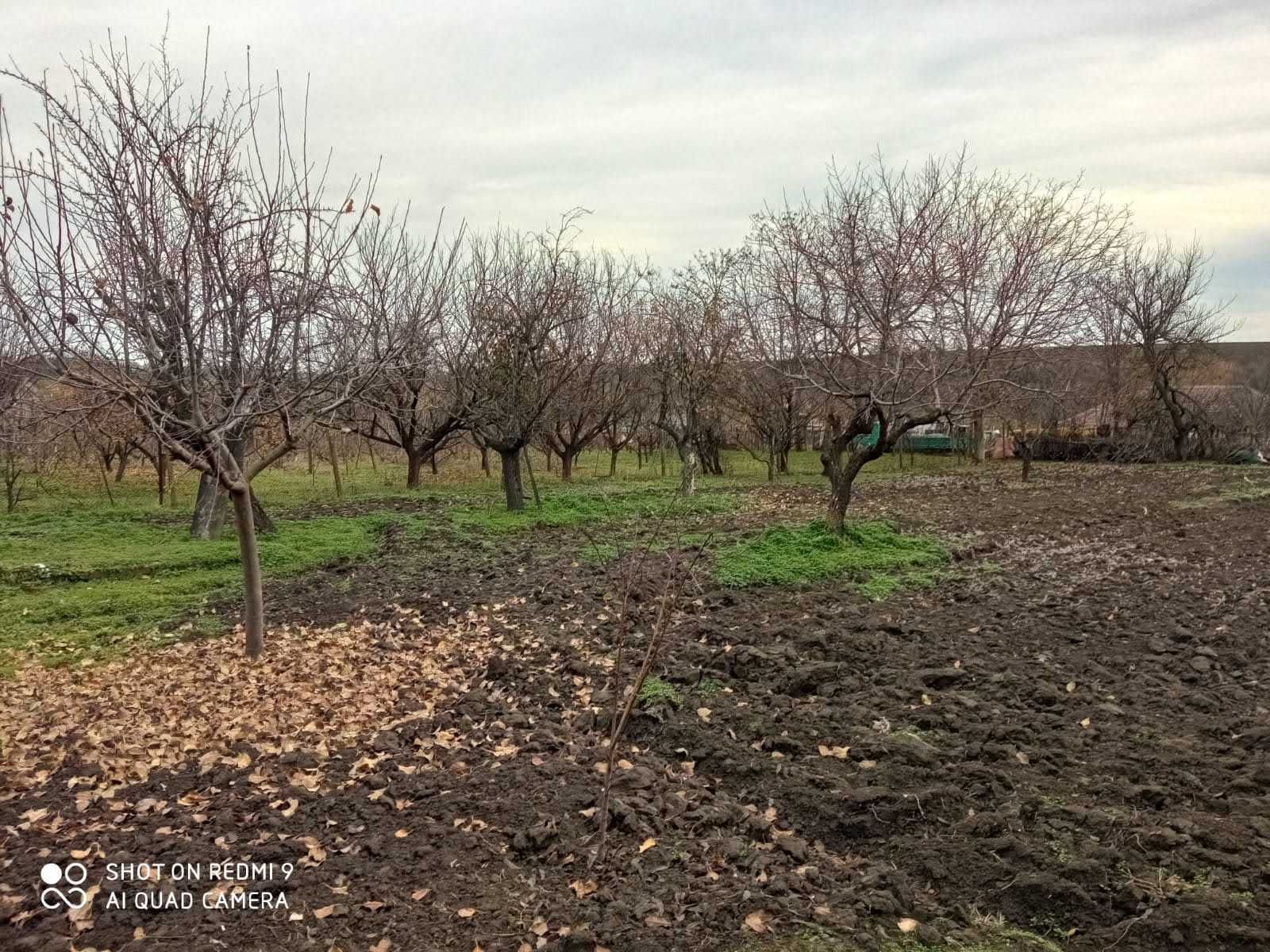 Къща в село Полковник Ламбриново