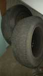 Roti ford focus 195/65/15