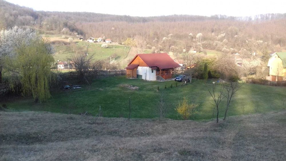 teren 11000 mp la padure in Budeasa Mica