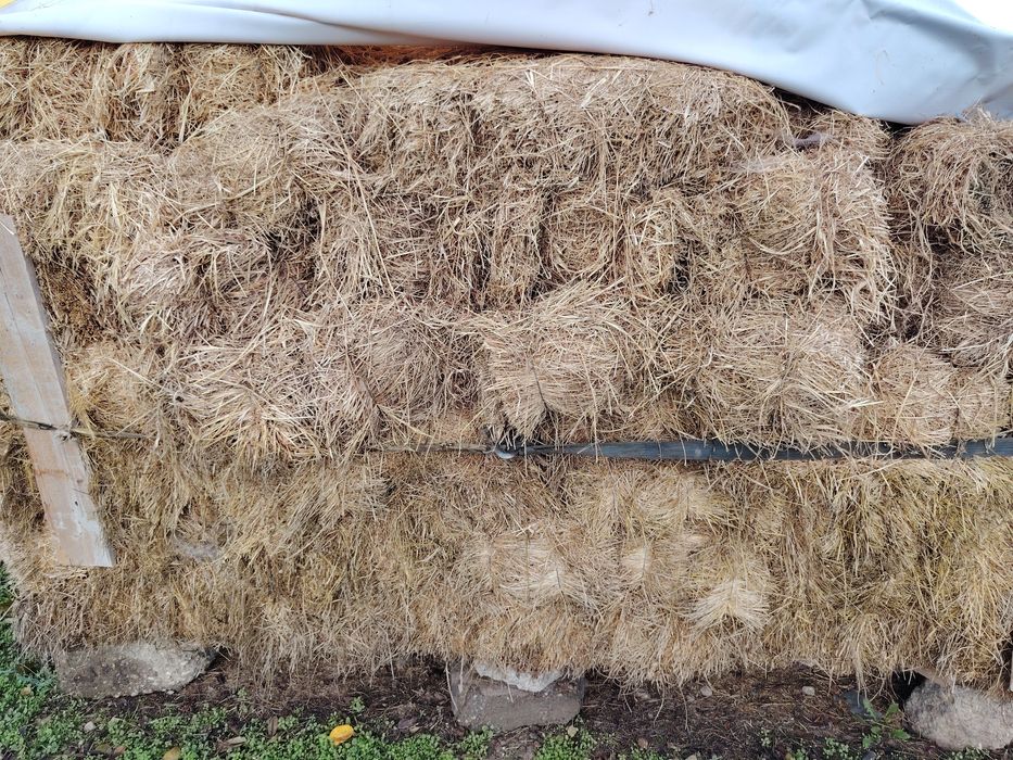 Baloti fan și lucerna