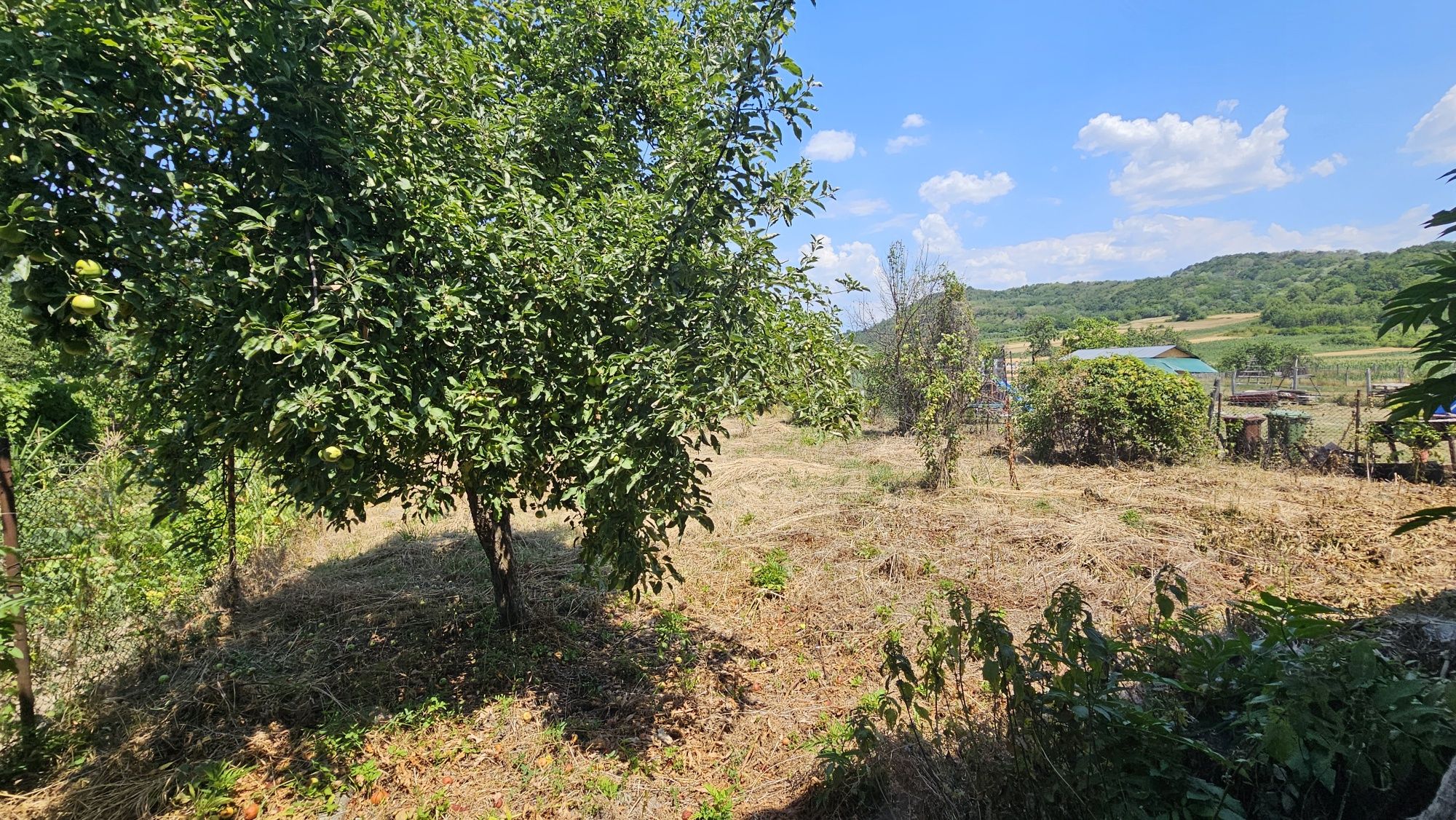 Vând casa bătrâneasca 60 m.p + 1174 mp teren, comuna Tigveni,