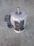 Motor si compresor pentru pompa de tencuit Continental, Mondial,Tornad