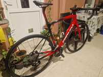Cursiera Ridley din 2025