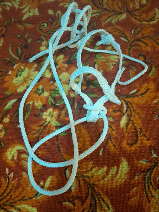 Продам недоуздок для жеребенке