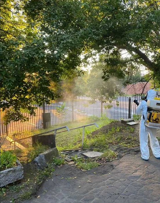 250 000 сум Дезинфекция без запаха. Уничтожение насекомых и грызунов