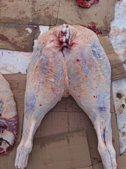 Мясо говядина молодняк