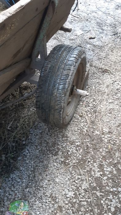 Vând cal cu căruță