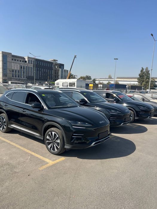 BYD Song CHAMPION 2025 модель