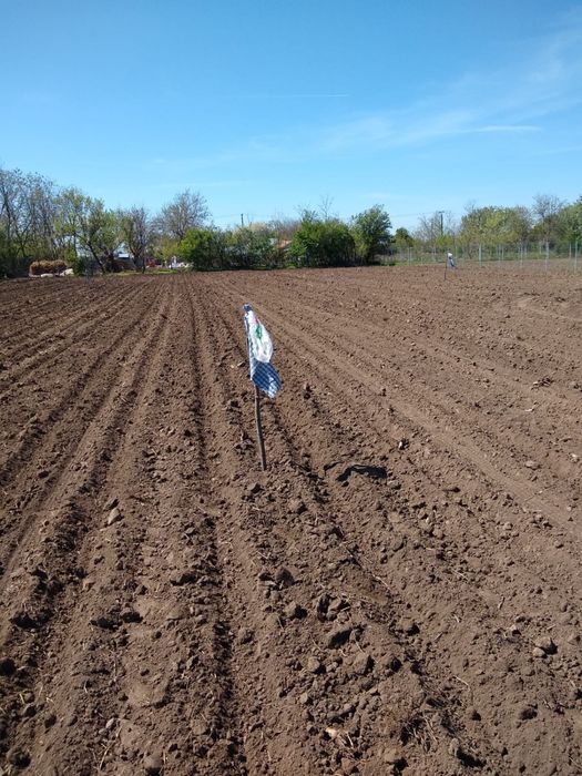 Se vinde loc de casa