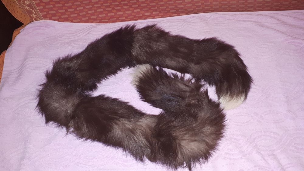 Guler vulpe argintie