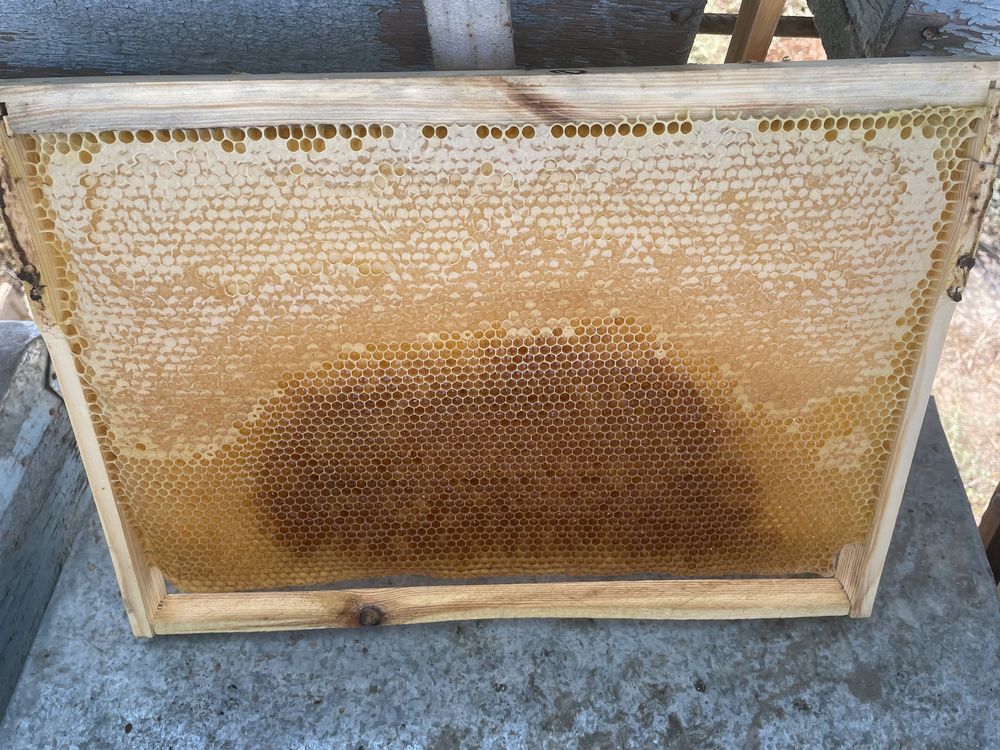 Натуральный мёд со своей пасеки , урожай 2023 год