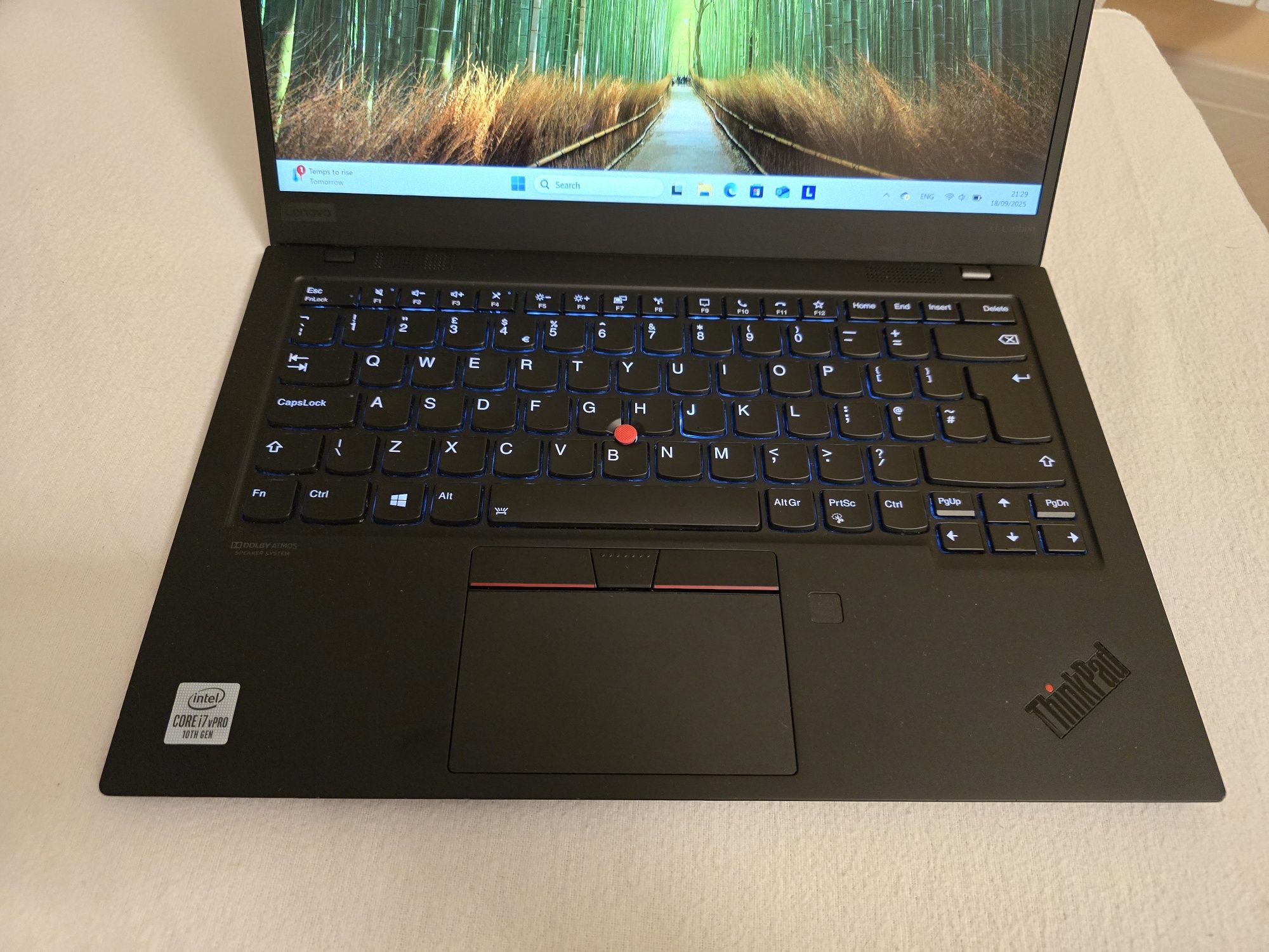 Lenovo X1 Carbon Gen 8 / i7 10th / 16GB Ram / 256 SSD
