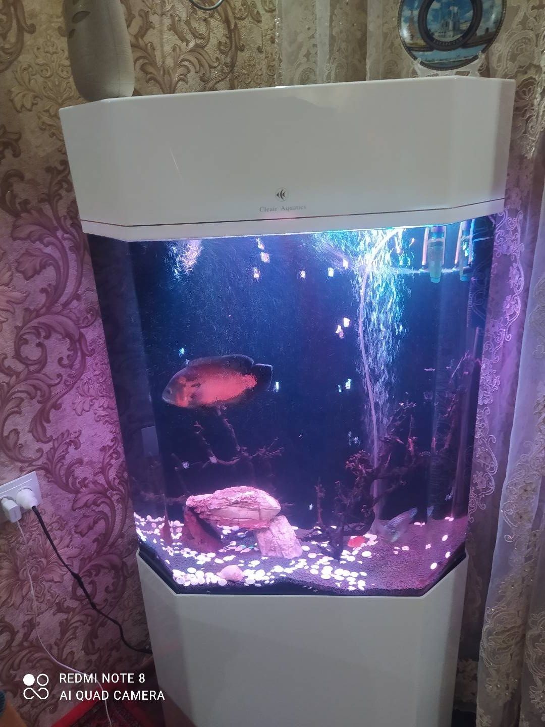 Продам аквариум от фирмы Clear Aquatics