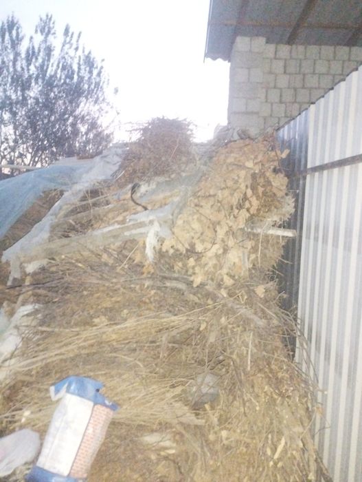 Quruq oʻtinlar sotladi