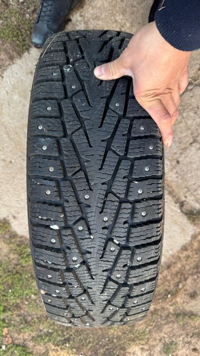 Зимние покрышки все шипы на месте