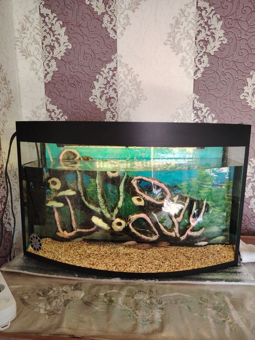 Akvarium Avalniy 60Litr komplekt