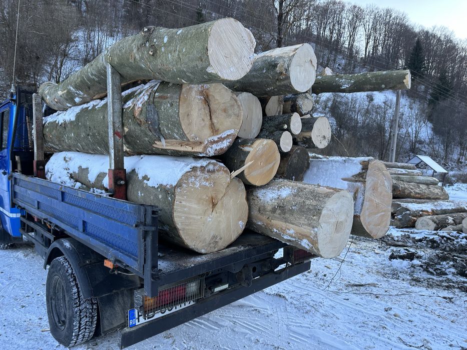 Lemn de foc  cu card de energie