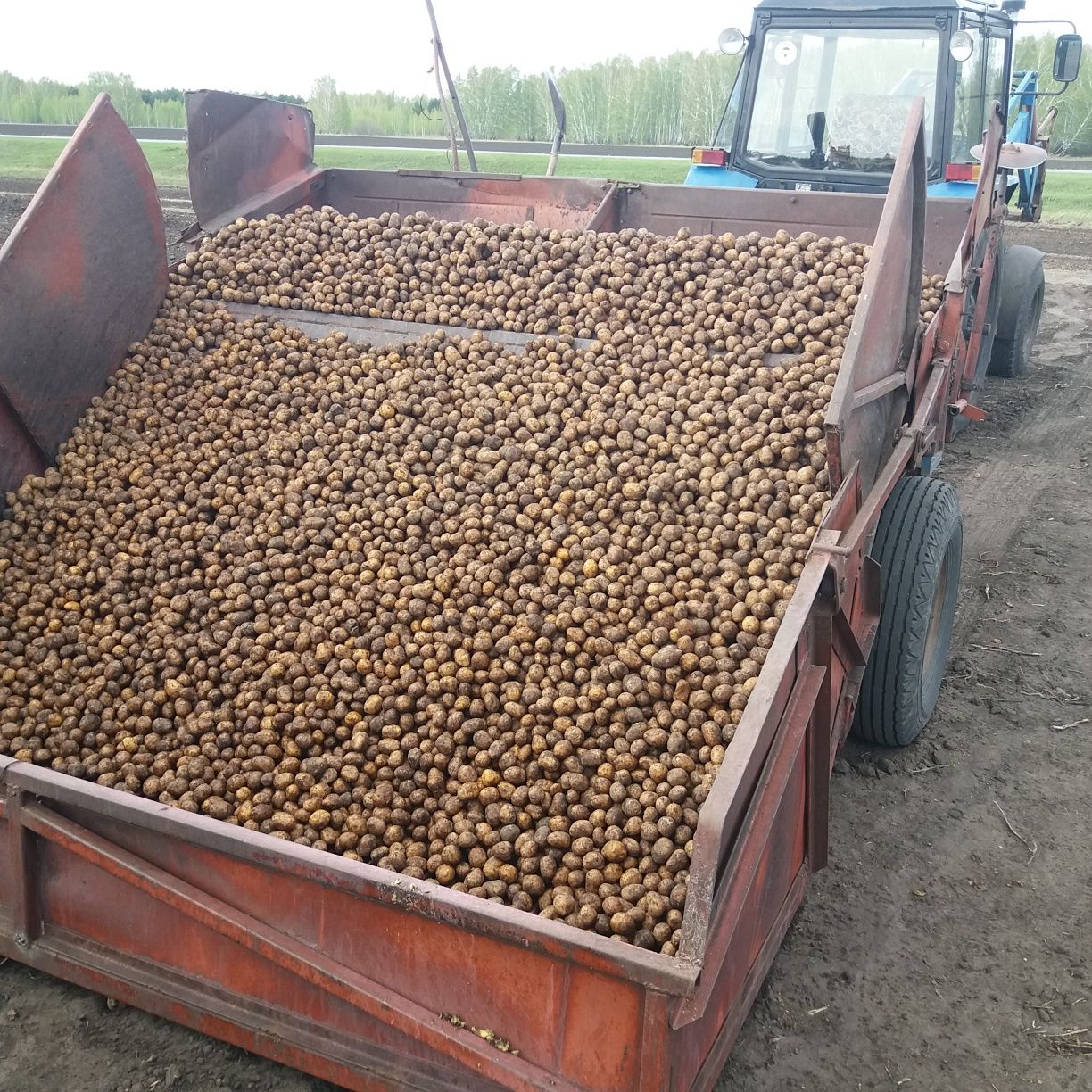 Продам картофелесажалку