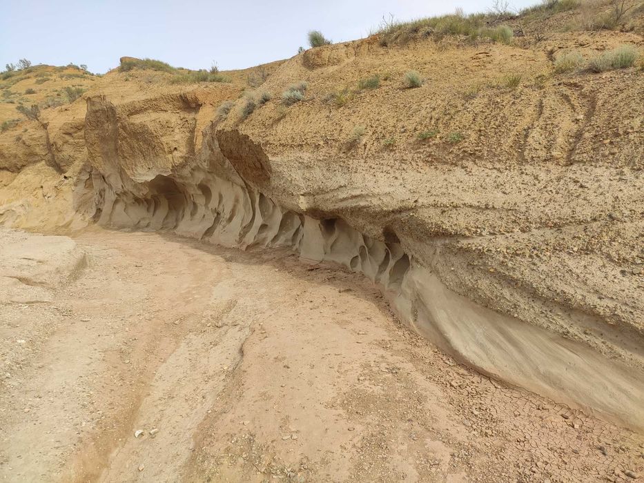 БАО Алмарасан прокат джипа аренда минивэн микроавтобус минивэн с водит