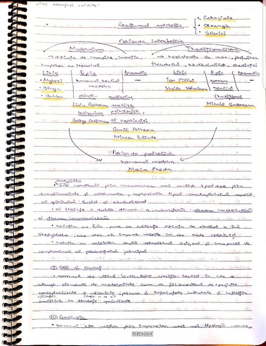 Caiet meditatii romana BAC 2025 bac de nota 10