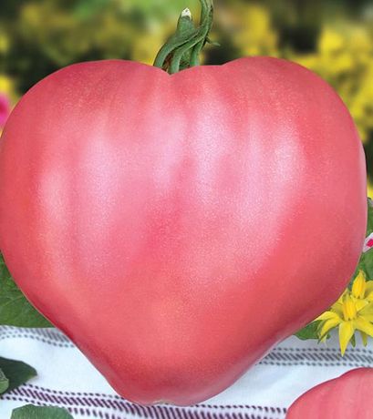 30 seminte tomate roz -Gustul de altadata, traditional si autentic!