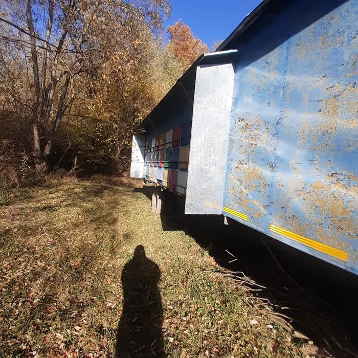 Vând pavilion apicol