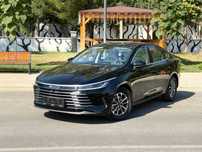 BYD CHAZOR 55km bez lyuk 2025y