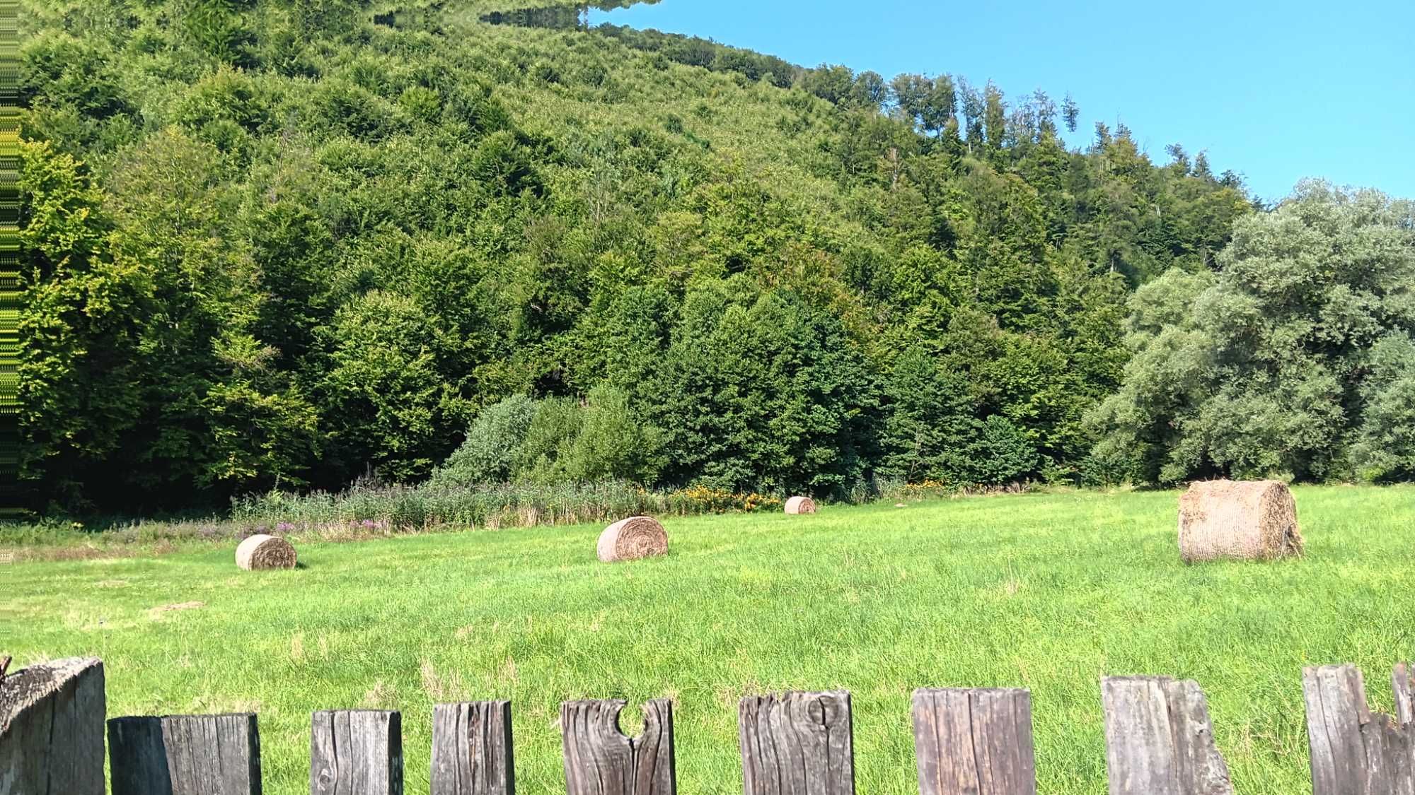 Teren de vanzare in Praid,Harghita