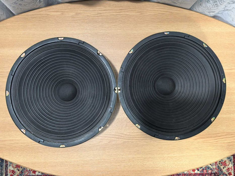 Difuzoare de 12 inchi(30 cm) de banda larga-sunet puternic si clar PRO