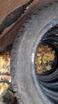 Шины шипованные 205/55 r16 Goodyear Гудиер комплект баллоны