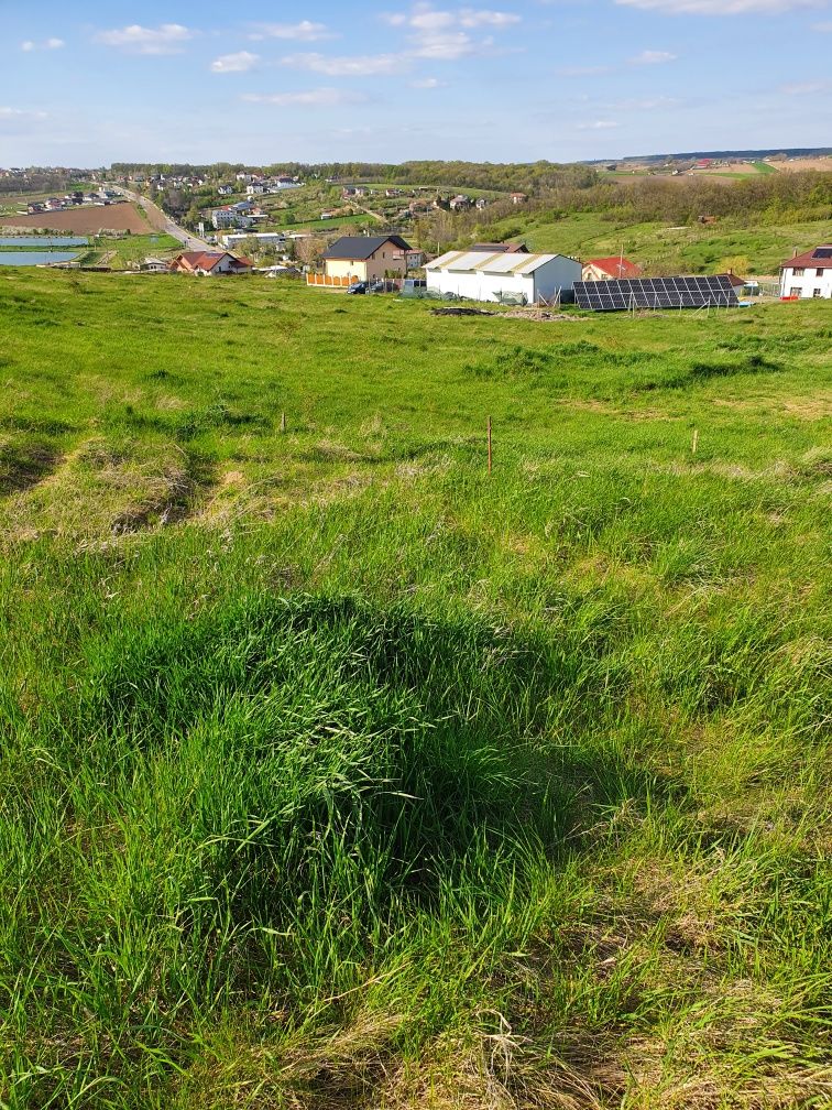 Teren intravilan zona Lebada Rai