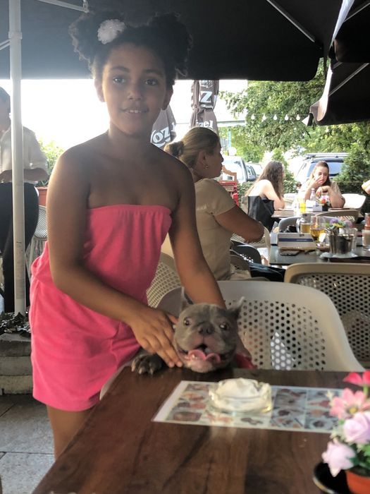 Cazare caini talie mica si medie