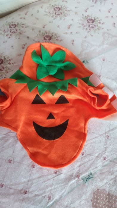 Дреха за кучета Halloween Купички и аксесоари за домашни любимци