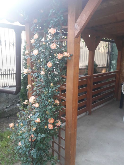 Casa noua zona liceul pedagogic proprietar