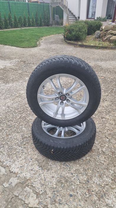 Vand set roti iarna 17