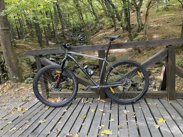 Specialized 29” Rockhopper XL 2019